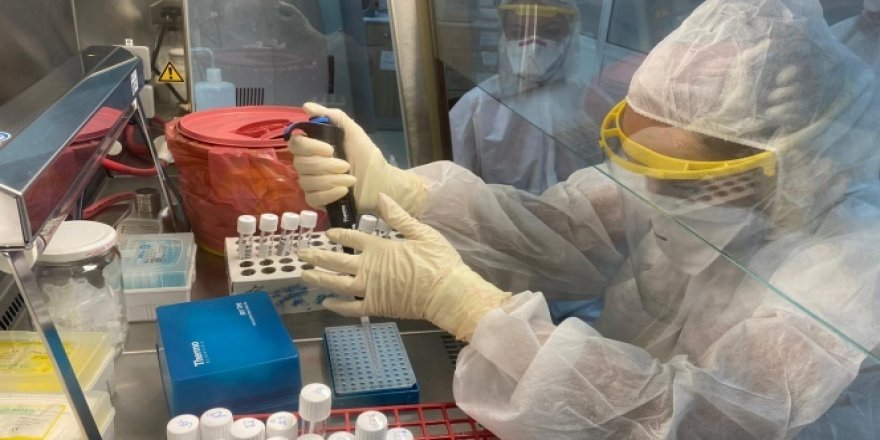 Bilim insanlarının geliştirdiği burun spreyinin virüsü yendiği tespit edildi