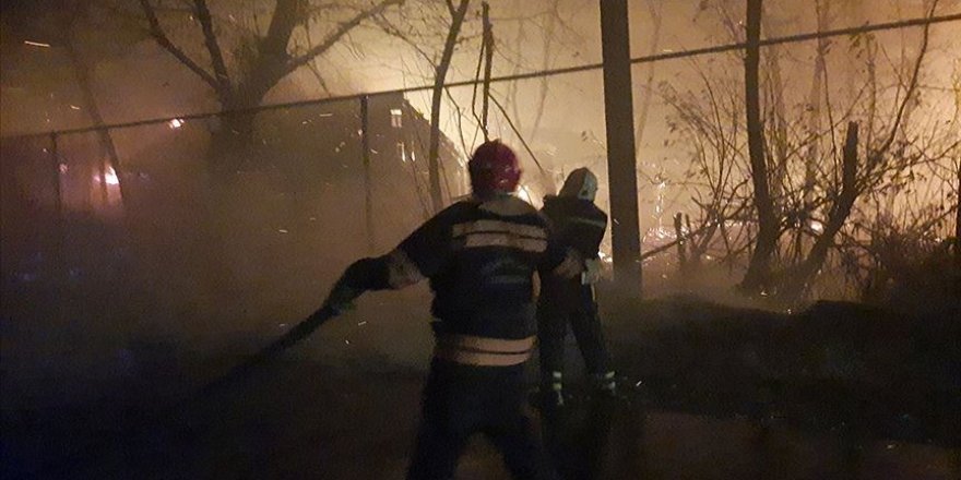 Ukrayna'da 146 noktada çıkan orman yangınlarında 11 kişi hayatını kaybetti