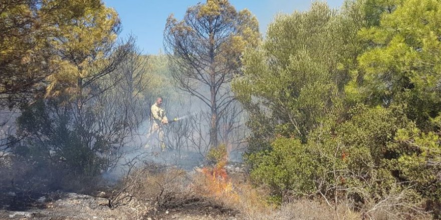İzmir'de orman yangını çıktı