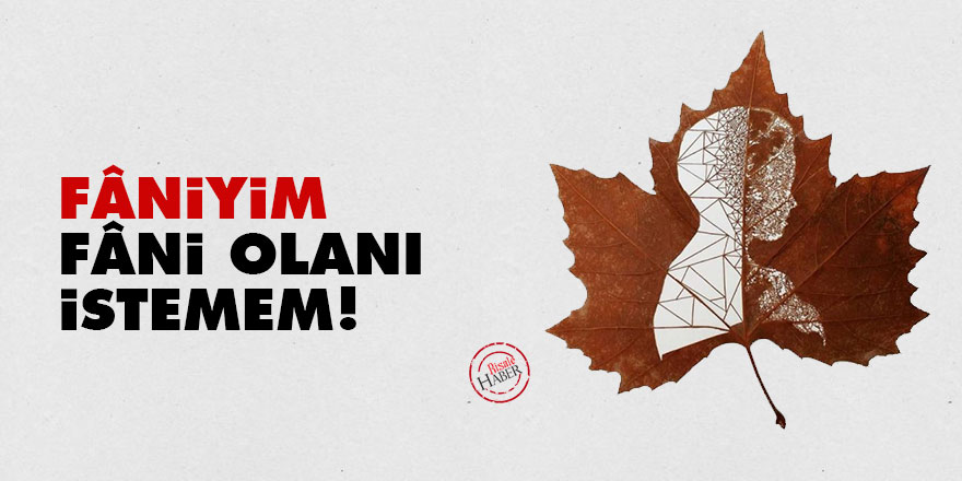 Bediüzzaman: Fâniyim, fâni olanı istemem!