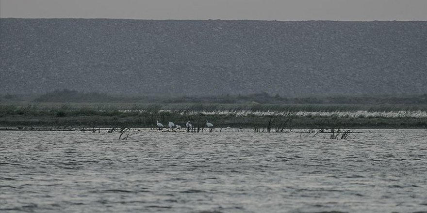 Reyhanlı Barajı, Amik Ovası'ndaki tarım arazilerine bereket katacak