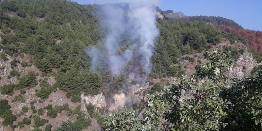 Hatay'da çıkan orman yangını kontrol altına alındı