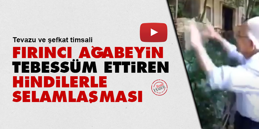 Fırıncı ağabeyin tebessüm ettiren, hindilerle selamlaşması