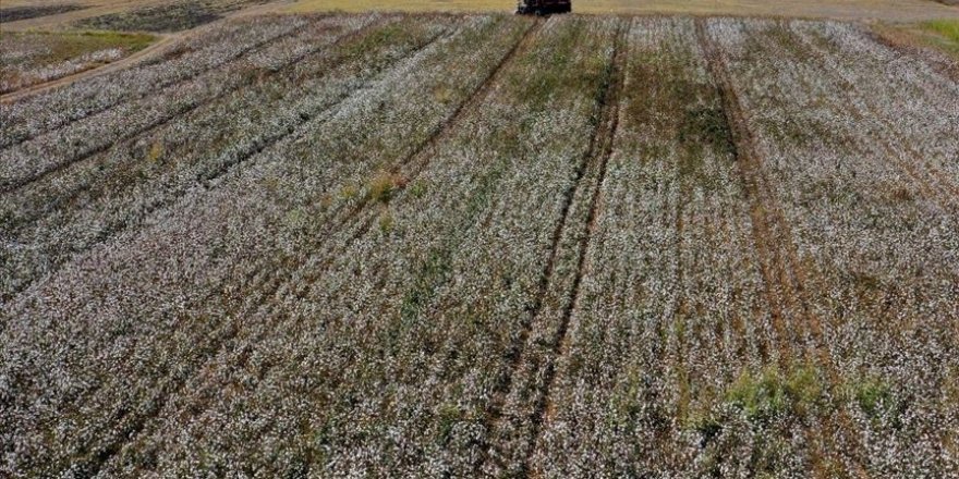 Nevruz Barajı ile 55 bin dekarlık arazi suya kavuşacak