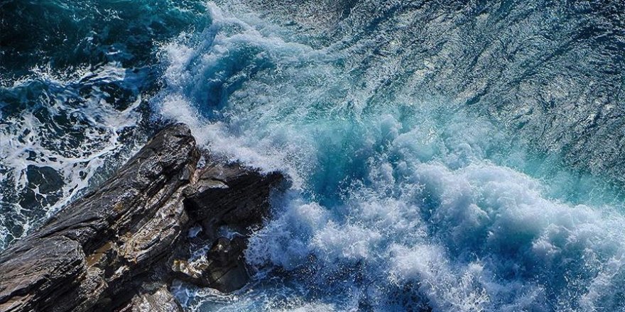 Kamçatka açıklarındaki kirlilik deniz tabanındaki yaşamın yüzde 95'ini yok etti