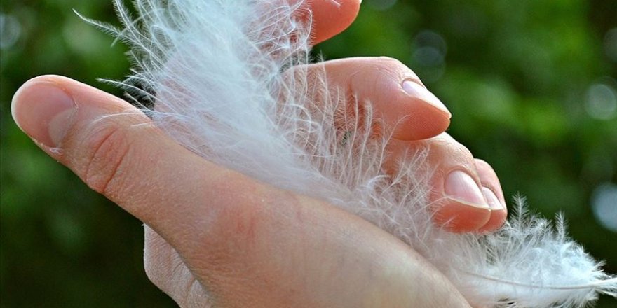 Uzmanından 'tırnaklardaki renk ve şekil değişikliği hastalıkların habercisi olabilir' uyarısı