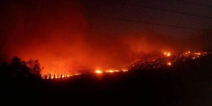 Yangınların faturası 5,5 milyar TL