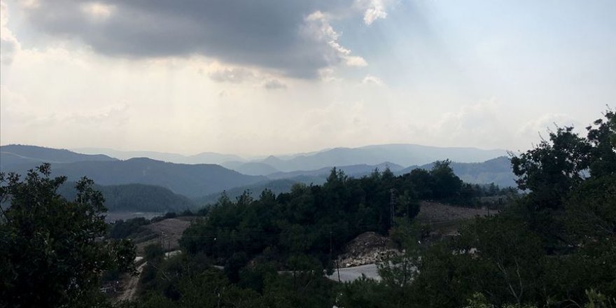 Suriye'nin Hatay sınırındaki orman yangını etkisini yitirdi