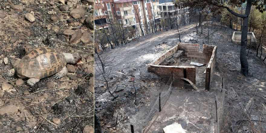 Hatay'da yürek burkan görüntüler!