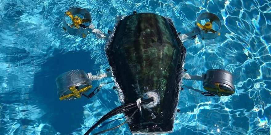 Kaplumbağadan ilham alan üniversiteli 7 genç 'su altı drone' prototipi üretti