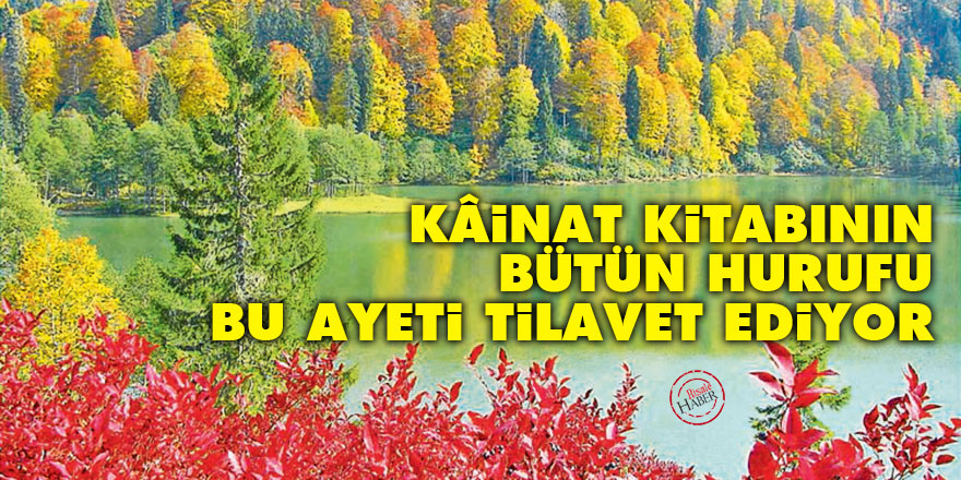 Bediüzzaman: Kâinat kitabının bütün hurufu bu ayeti tilavet ediyor