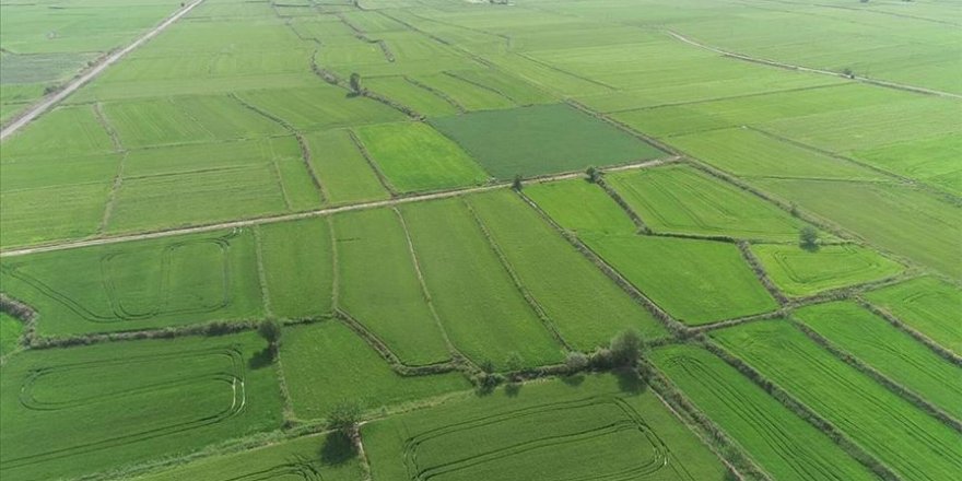 Arsa satışları geçen yıla oranla yüzde 20 arttı