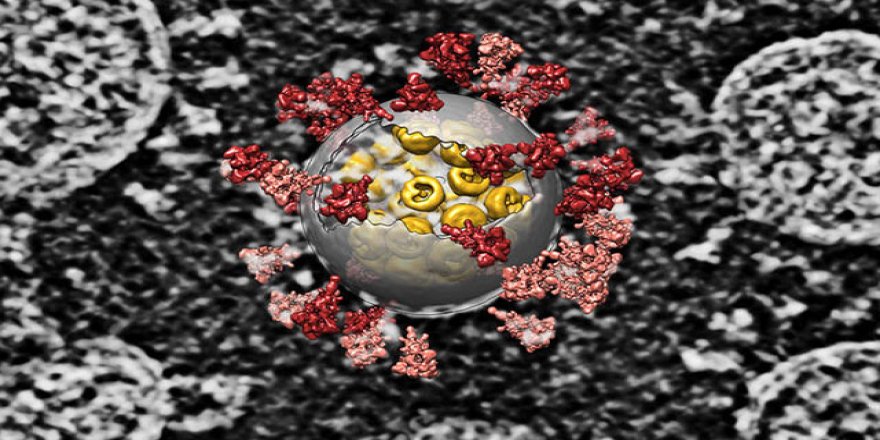 Covid-19 hastalarında 'pıhtı atması' riski