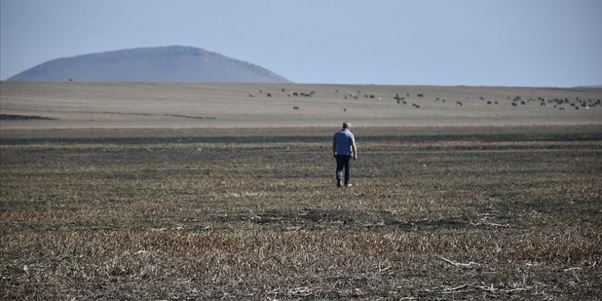 Türkiye'nin 13. Ramsar Alanı Kuyucuk Gölü tekrar kurudu