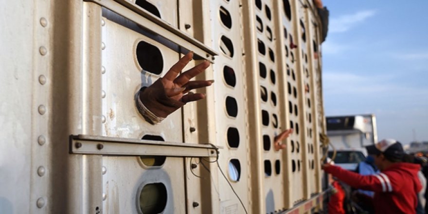 ABD'de Venezuelalı mültecilerin yasalara aykırı şekilde sınır dışı edildiği iddiası