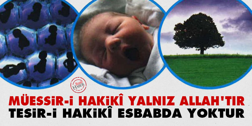 Bediüzzaman: Müessir-i hakikî yalnız Allah'tır, tesir-i hakikî esbabda yoktur