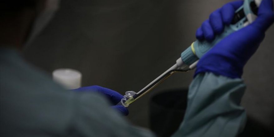 Sağlık Bakanı Koca yerli aşı çalışmaları hakkında bilgi verdi