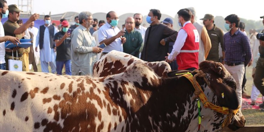 Türk Kızılaydan Pakistan'daki çiftçilerin kalkınmasına destek