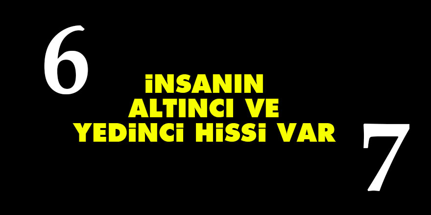 Bediüzzaman: İnsanın altıncı ve yedinci hissi var