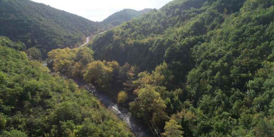 Ganos Dağı eteklerindeki ormanlar sonbaharda görsel şölen sunuyor