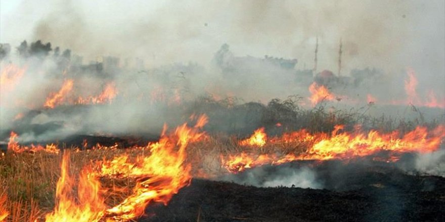 Anız yakanlara 10 ayda 1,3 milyon lira ceza kesildi