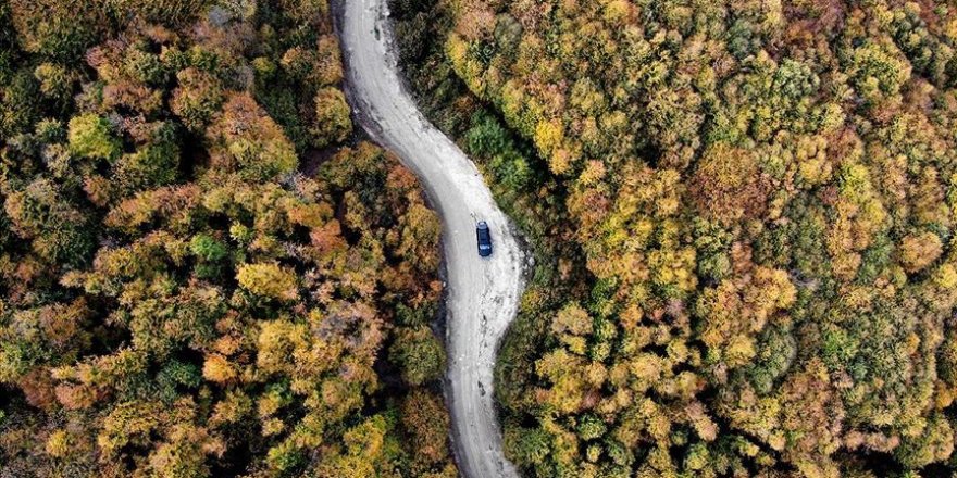 Kütahya'daki Boyalı Dağı sonbaharda ayrı bir güzelliğe büründü