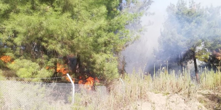 Hatay'daki orman yangınına müdahale sürüyor