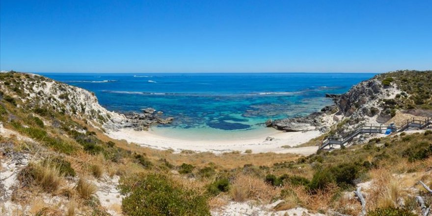 Büyük Bariyer Resifi'nde 500 metre yüksekliğinde yeni bir resif keşfedildi