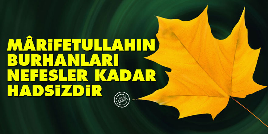 Bediüzzaman: Mârifetullahın burhanları nefesler kadar hadsizdir