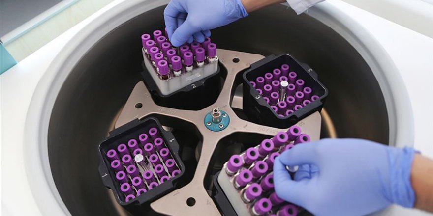 Türkiye'den Avusturalya'ya kök hücre bağışı