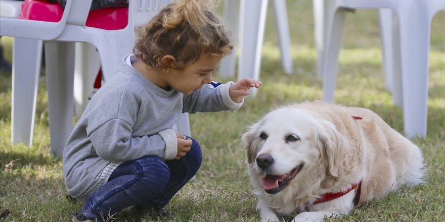 DNA araştırması köpeklerin insanoğlunun en eski hayvan dostu olduğunu gösterdi