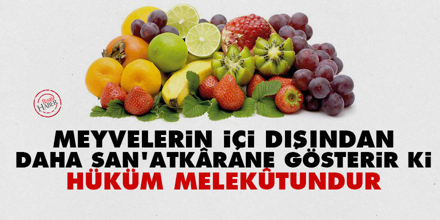 Bediüzzaman: Meyvelerin içi dışından daha san'atkârane gösterir ki hüküm melekûtundur