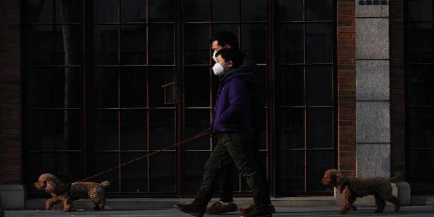 ABD merkezli 8 ülkede yapılan araştırmaya göre genç nüfusun neredeyse yarısı akıl sağlığı yönünden risk altında