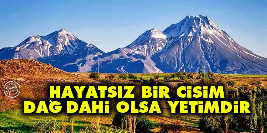 Bediüzzaman: Hayatsız bir cisim, dağ dahi olsa yetimdir