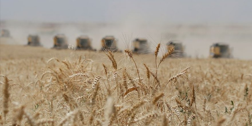 Türk tarımı, yatırımcılar için birçok alanda cazip imkanlar barındırıyor