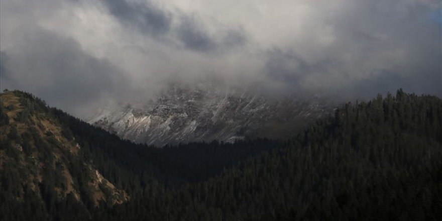 Ilgaz'a mevsimin ilk karı yağdı