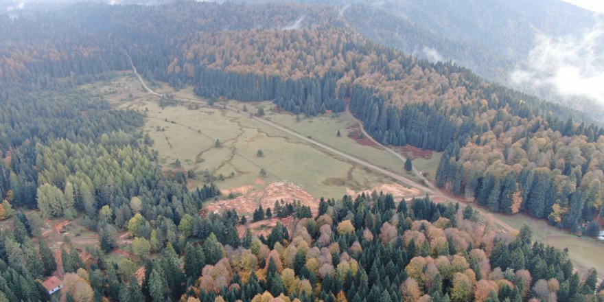 Doğa tutkunlarının tercihi Pürenli ve Balıklı yaylalarında renk cümbüşü