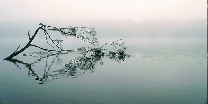 Beklentimiz iklim değişikliğiyle mücadelede uluslararası iklim finansmanına erişim imkanlarımızın artırılması