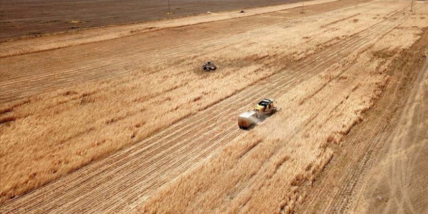 Tarıma dayalı yatırımların desteklenmesine ilişkin hususlar belirlendi