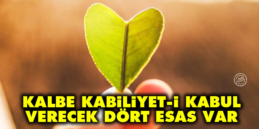 Bediüzzaman: Kalbe kabiliyet-i kabul verecek dört esas var