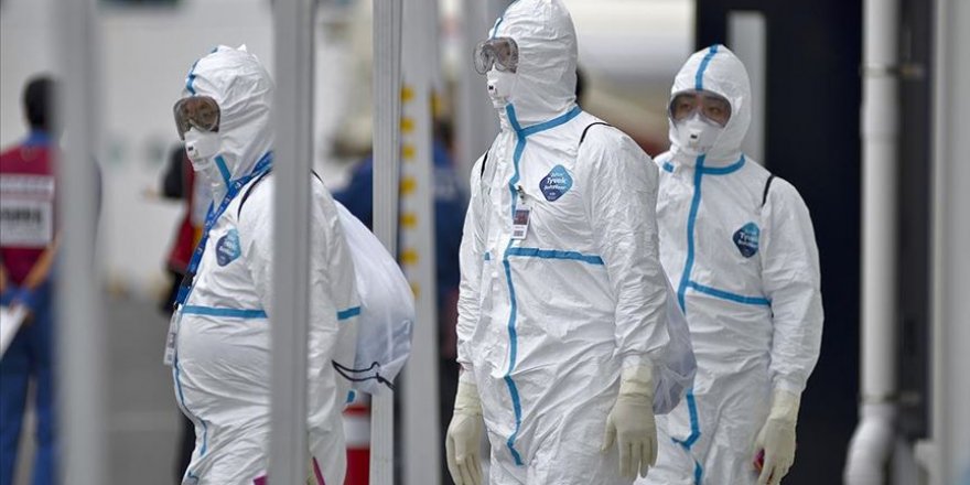 Japonya'nın Kagawa eyaletinde kuş gribi vakası