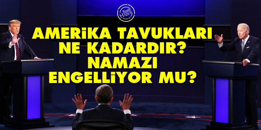 Said Nursi soruyor: Amerika tavukları ne kadardır? Namazı engelliyor mu?