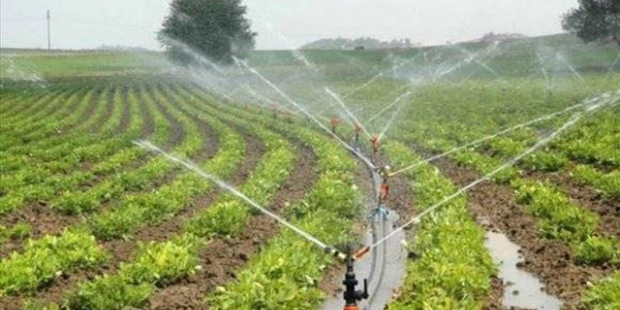 Diyarbakır'da modern sulama teknikleriyle ülke ekonomisine 752 milyon lira katkı sağlandı