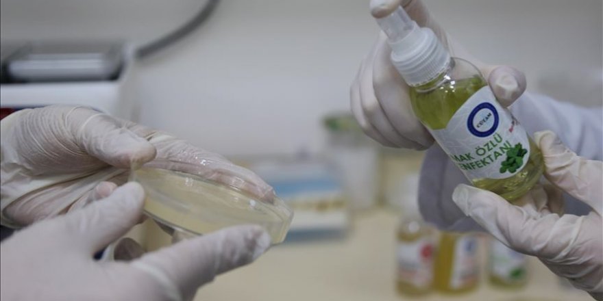 Madımak, kekik ve meyan kökünden kolonya, dezenfektan ile sabun üretildi