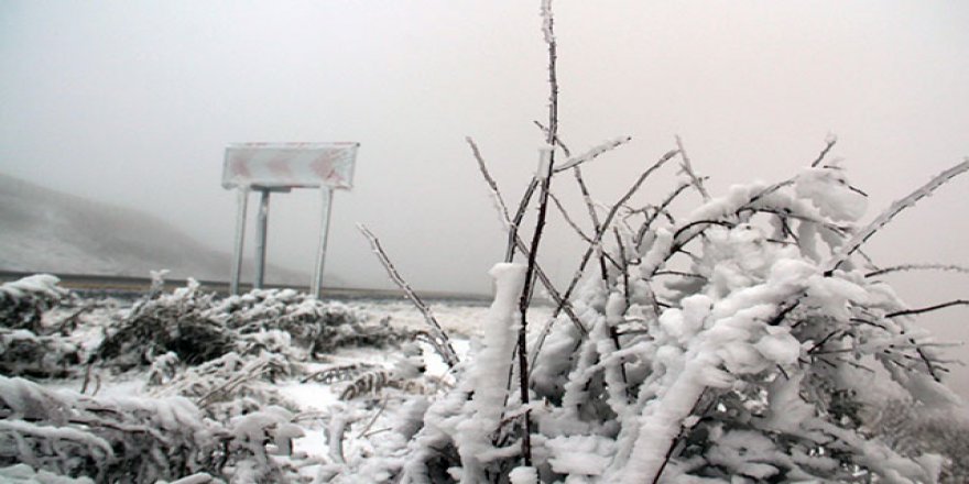 Ardahan'ın yüksek kesimleri beyaza büründü