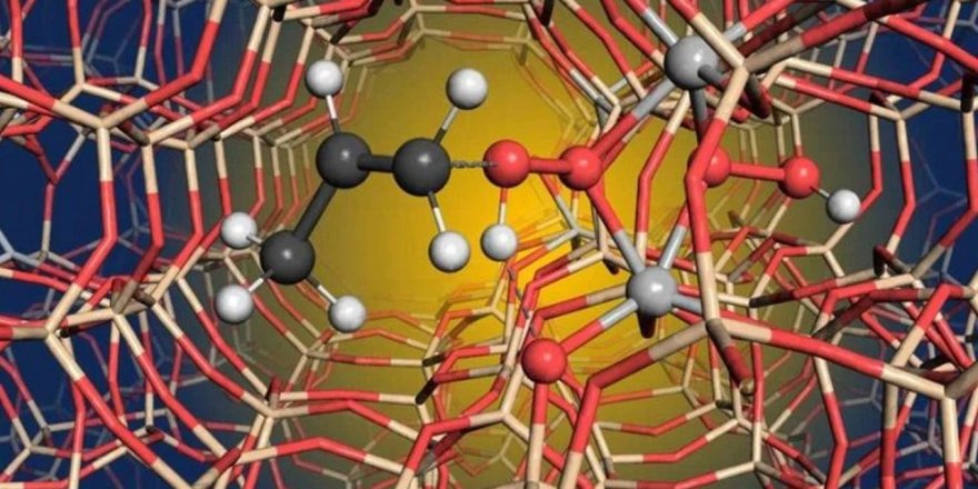 Kaldırımdaki otlarla mücadelede kullanılan kimyasalların 'kanser' riski taşıdığı iddiası