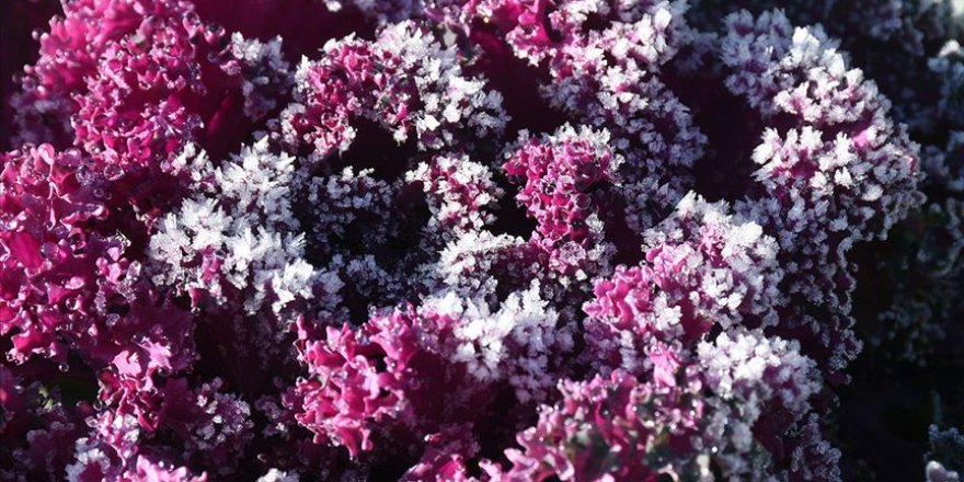 Doğu'da hava sıcaklığı düşünce dereler dondu, camlar kırağıyla kaplandı