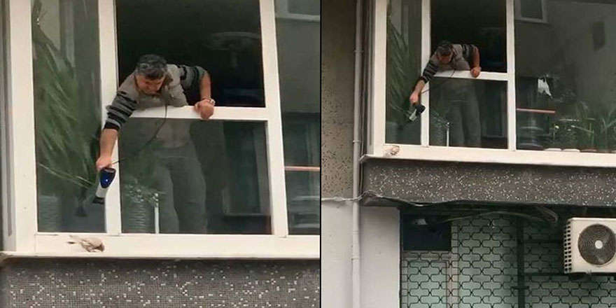 Soğukta üşüyen kumruyu saç kurutma makinesiyle ısıttı