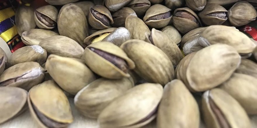 Antep fıstığı 94 ülkeye ihraç edildi