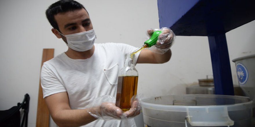 Koronavirüs sonrası çörek otu yağına talep arttı